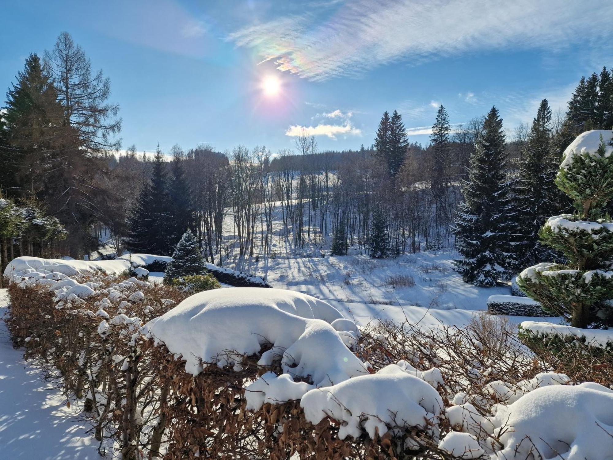 Apartman Praded V Rickach - Ricky V Orlickych Horach Esterno foto